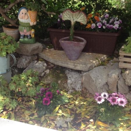 Apartment Alta マカルスカ エクステリア 写真